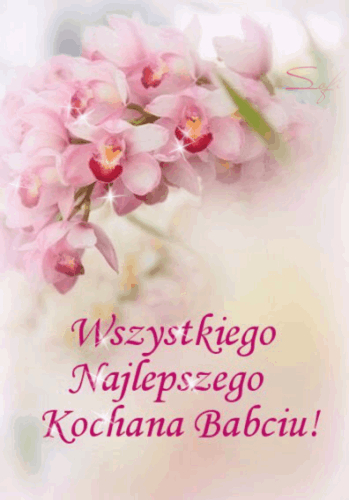 Błyszczące różowe storczyki na dzień babci